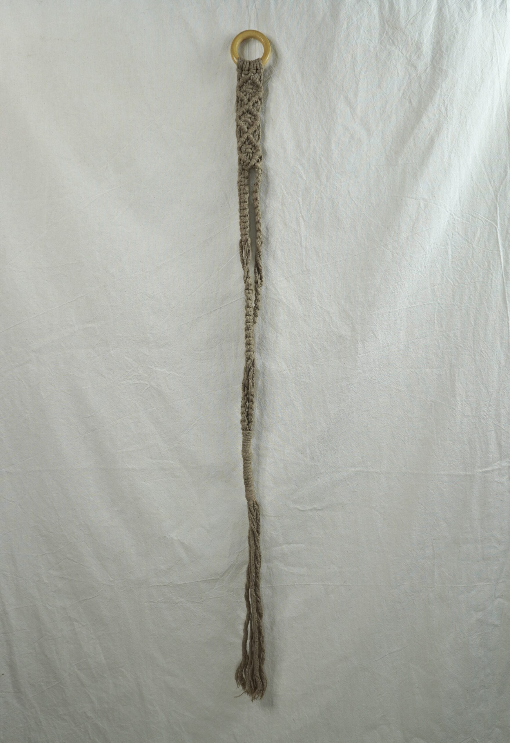 Portasombrero Múcura: imagen 6